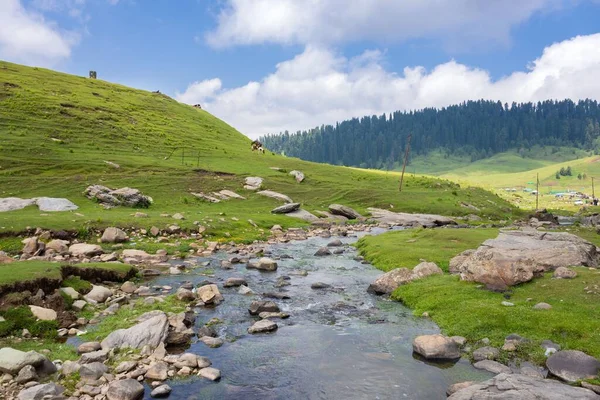 Bellissimo Paesaggio Montano Gulmarg Jammu Kashmir State India — Foto Stock