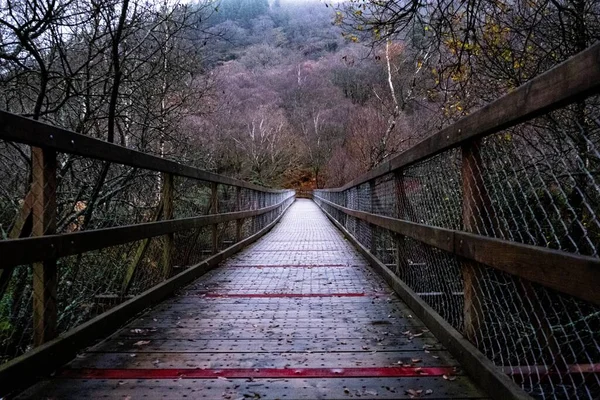 Puente Metálico Que Conduce Bosque — Foto de Stock