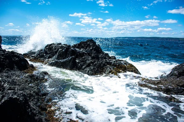 青い空の下でぬれた岩を洗う波のある海や海の海岸の景色 — ストック写真