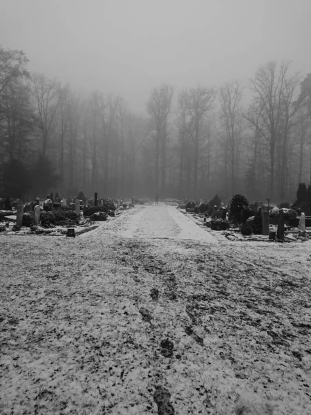 Een Forest Begraafplaats Een Koude Dag — Stockfoto