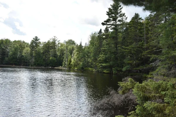 Une Belle Vue Sur Lac Parc Ecoforestier Johnville Estrie Québec — Photo