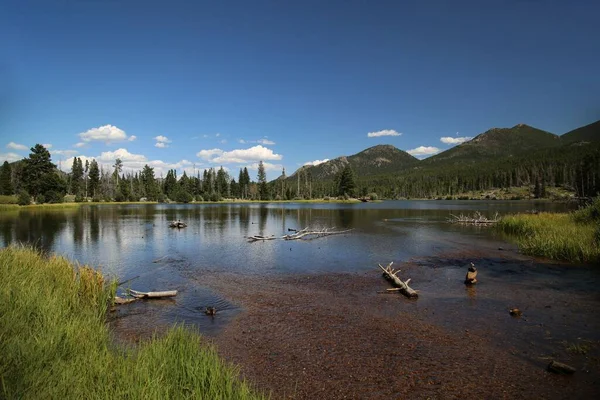 コロラド州のロッキー山脈の斜面にある緑の松林に対する湖の景色 — ストック写真