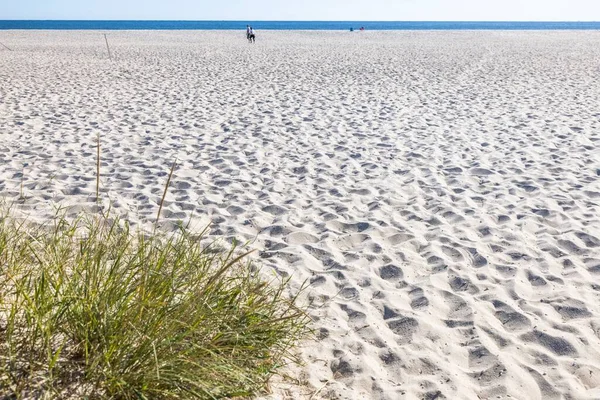 Uma Vista Panorâmica Uma Praia Areia Com Oceano Azul Nas — Fotografia de Stock