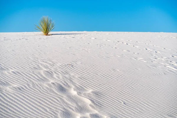 Beau Paysage Sable Blanc Sous Lumière Soleil — Photo