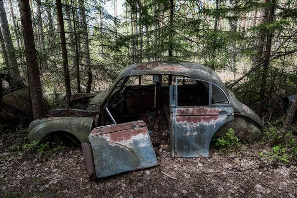 Ein Autofriedhof Liegt Einem Wald — Stockfoto