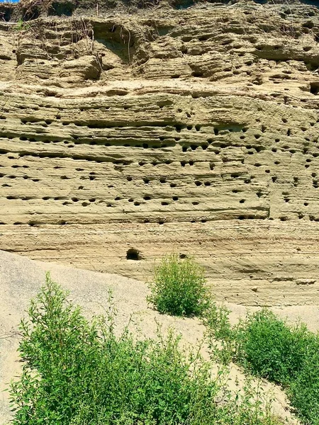Steilküste Mit Vogelnestern Sand — Stockfoto