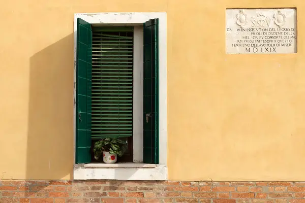Uma Planta Vaso Peitoril Janela Persianas Verdes — Fotografia de Stock