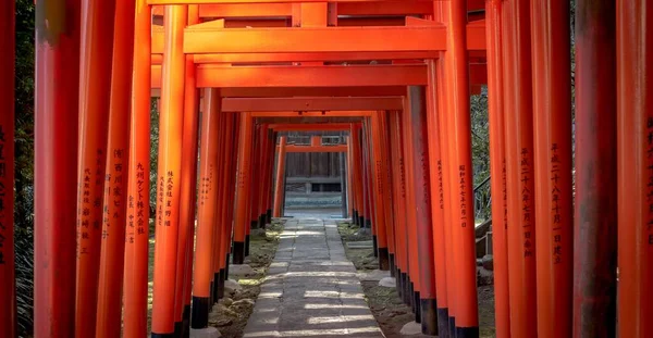 Uma Estrutura Metálica Montada Jardim Caminho Que Conduz Entrada Edifício — Fotografia de Stock