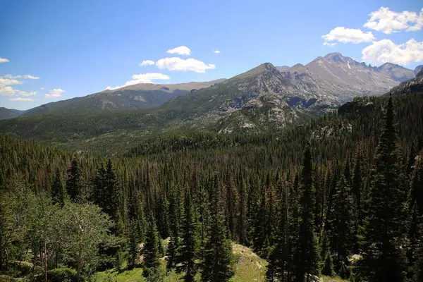 美国科罗拉多州落基山脉斜坡上的绿松林鸟瞰图 — 图库照片