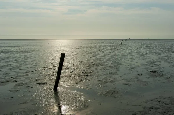 ドイツの北海の湿った砂のビーチに立っている木製の棒の機嫌の良いショット — ストック写真