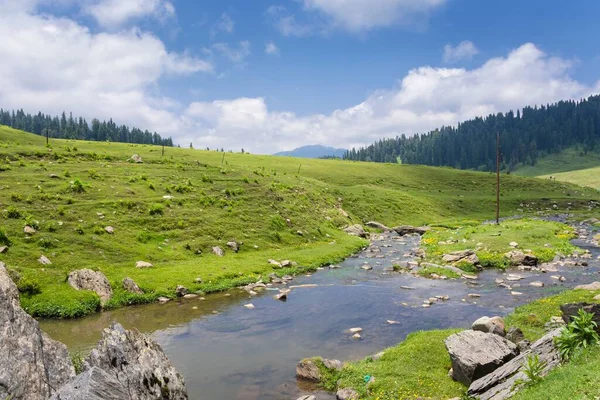 Mountain of Gulmarg a hill station in summer time, a popular skiing destination of the Indian state of Jammu & Kashmir.