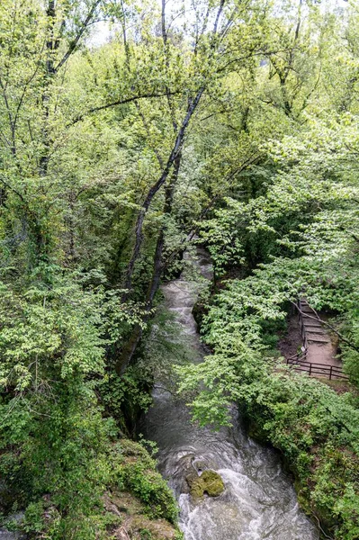 Ένα Κάθετο Πλάνο Του Marmore Falls Που Περιβάλλεται Από Δέντρα — Φωτογραφία Αρχείου