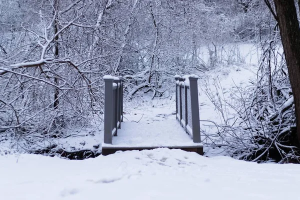 Een Bruggetje Het Winterbos Bedekt Met Sneeuw — Stockfoto