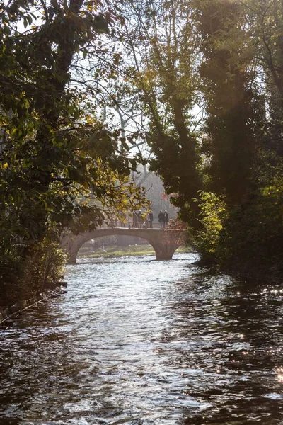 Most Otoczony Drzewami Rzece — Zdjęcie stockowe