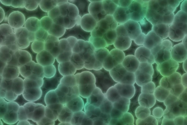 Una Bacteria Detectora Con Nanosensor Fluorescente Verde Bacterias Bajo Microscopio — Foto de Stock