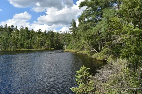 Vue Panoramique Lac Parc Écoforestier Johnville Québec Canada — Photo