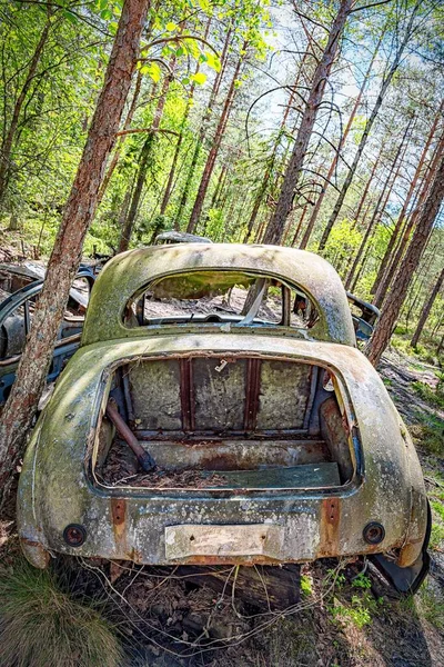 Cmentarz Samochodowy Znajduje Się Lesie — Zdjęcie stockowe