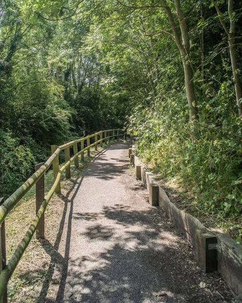 Nantwich Riverside Döngü Orman Yolu Portresi Cheshire Ngiltere — Stok fotoğraf