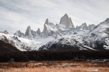 Kuru arazinin manzarası karla kaplı Fitz Roy dağlarına karşı.