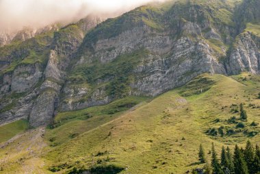 Güneşli bir günde ağaçlarla kaplı yüksek bir dağ.