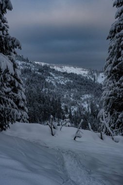 Kışın karla kaplı ormanlık tepelerin dikey görüntüsü.