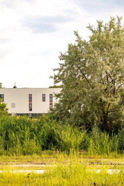 Polonya 'da Bernata caddesinde yeni bir apartmanın yanında yeşil bir tarla ve ağaçlar.