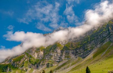 Güneşli bir günde ağaçlarla kaplı yüksek bir dağ.
