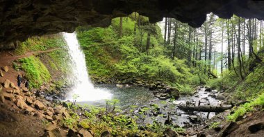 Ormanda akan bir şelale. Columbia Nehri Boğazı 'ndaki bir mağaranın içindeki manzara.
