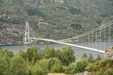 Hardangerous Fjord, Norveç üzerindeki Hardanger Köprüsü 'nün güzel bir manzarası