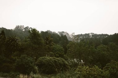 Güneşli bir günde botanik bahçesinin yüksek açılı görüntüsü
