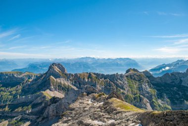 Güneşli bir günde ağaçlarla kaplı yüksek bir dağ.