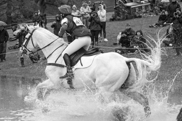 白い馬に乗って水の上を飛び回る男のグレースケール — ストック写真