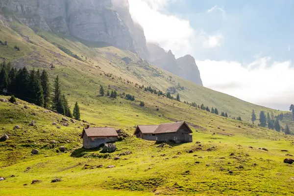 Una Alta Montaña Con Árboles Día Soleado —  Fotos de Stock