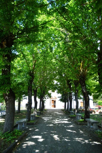 Trees Public Park Campo Giove Small Village Abruzzo Mountains Italy — Foto Stock