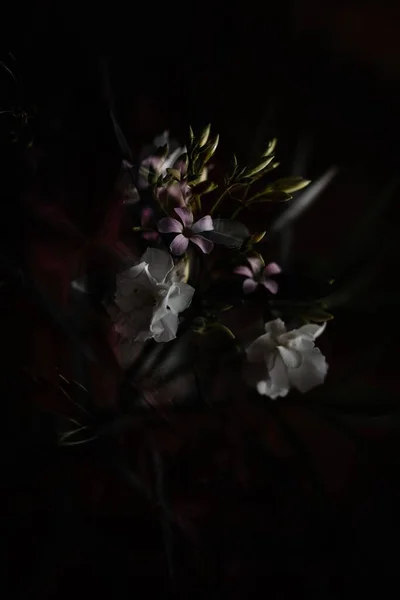 Eine Vertikale Nahaufnahme Eines Straußes Mit Weißen Oleandern Und Oxalisblüten — Stockfoto