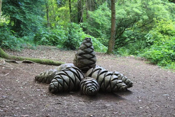 森の中の大きな松のコーンの木彫のクローズアップ — ストック写真