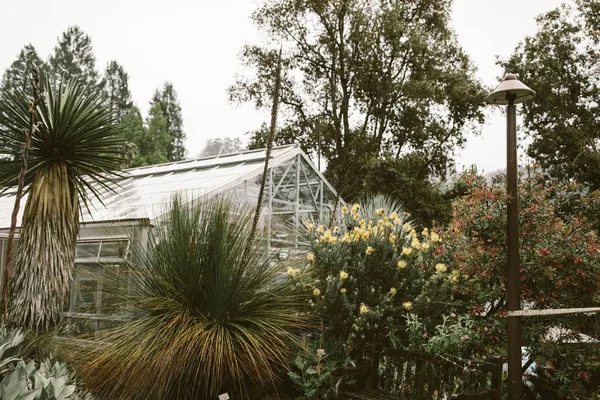 Greenhouse Surrounded Trees Botanical Garden — Stock Photo, Image