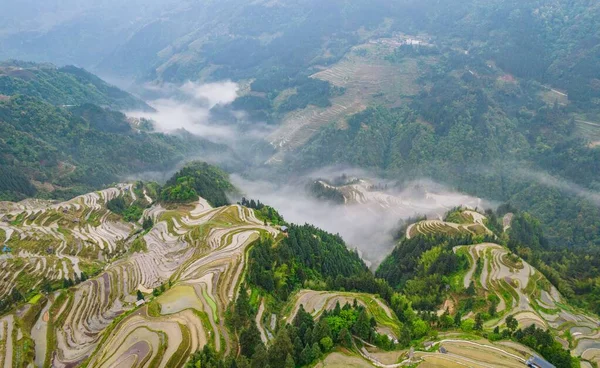 Eine Luftaufnahme Der Yuanyang Hani Rice Terrassen Umgeben Von Bergen — Stockfoto