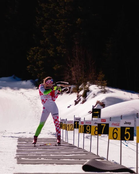 Het Verticale Uitzicht Van Een Vrouw Doet Riffle Schieten Biathlon — Stockfoto