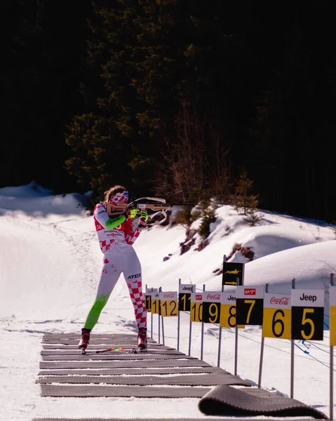 Den Vertikala Vyn Kvinna Som Gör Riffle Skytte Skidskytte Loppet — Stockfoto