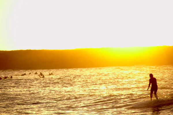 迷人的金色落日映照在海面上 — 图库照片