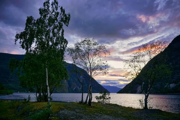 A beautiful fjord in Norway with trees in the foreground at sunset