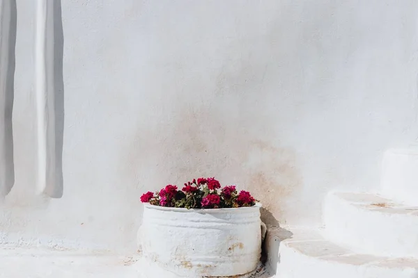 Ein Blumentopf Der Nähe Von Steinstufen Mykonos Griechenland — Stockfoto