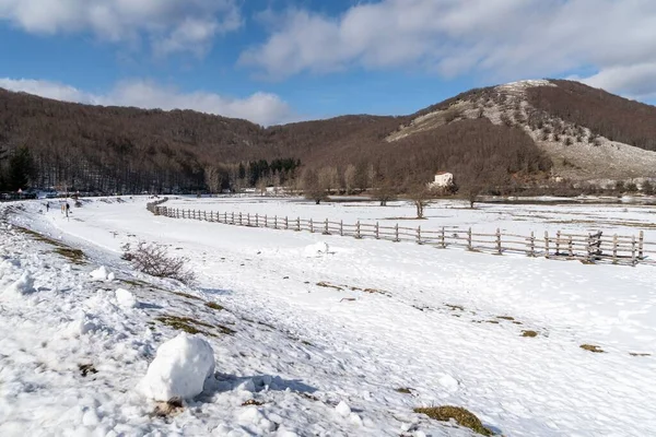 Όμορφο Χιονισμένο Τοπίο Του Lago Laceno Κατά Διάρκεια Του Χειμώνα — Φωτογραφία Αρχείου