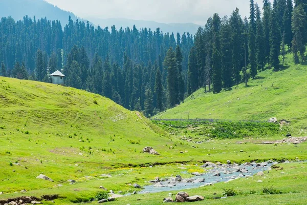 Çoğu zaman mini-İsviçre olarak bilinen Gulmarg, birçok kış sporu burada yapıldığı için, Kashmir 'de en çok ziyaret edilen yerlerden biridir..
