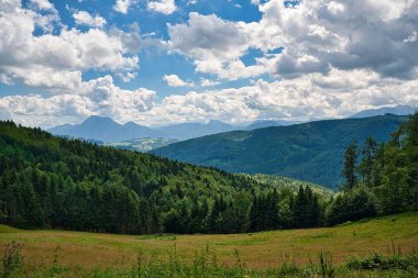 Attersee-Traunsee Doğa Parkı 'nda bulutlu bir gökyüzünün altında yeşil orman tepeleri olan güzel bir manzara.
