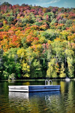 Güneşli bir sonbahar gününde rıhtımı olan gölün kenarındaki renkli ağaçların dikey görüntüsü.