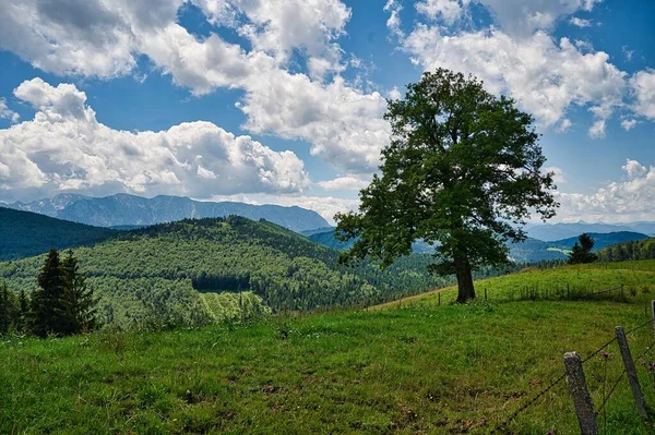 Avusturya Daki Attersee Traunsee Doğa Parkı Nda Bulutlu Bir Gökyüzü — Stok fotoğraf