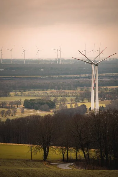 Vertical Shot Huge Fields Bare Trees Wind Farms Cloudy Sky — Stock Photo, Image