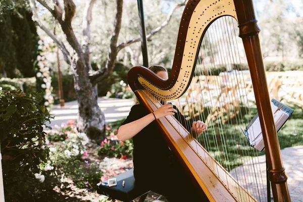 Uma Mulher Tocando Uma Harpa Livre — Fotografia de Stock